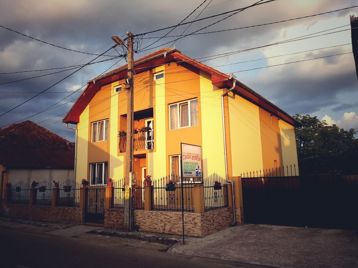 Гостевой дом Casa Otilia Chişcău-4