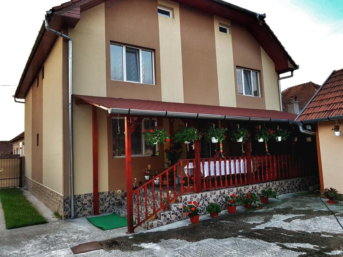 Гостевой дом Casa Otilia Chişcău-28